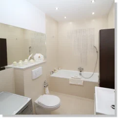 Badeinrichtung mit WC und Badewanne